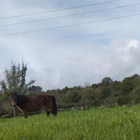O Val De Vilaboa Casa de Férias Boveda (Lugo)