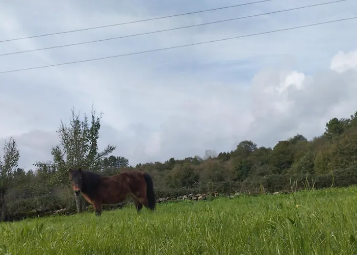 O Val De Vilaboa Дом отдыха Боведа