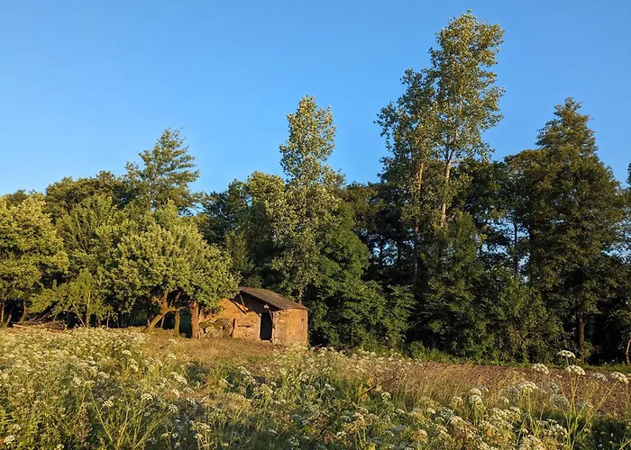 O Val De Vilaboa Дом отдыха